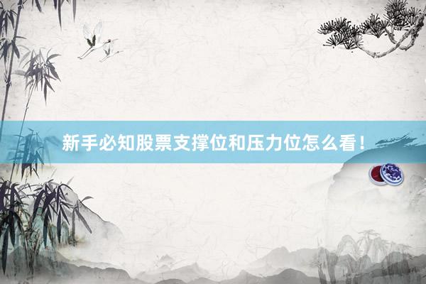 新手必知股票支撑位和压力位怎么看！