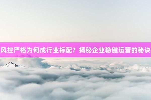 风控严格为何成行业标配？揭秘企业稳健运营的秘诀